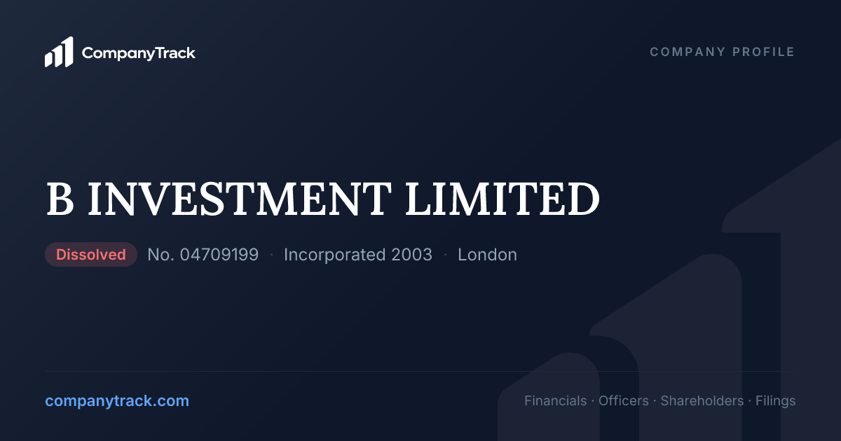 B INVESTMENT LIMITED - Profile & Financials